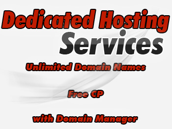 Affordable dedicated hosting server services
